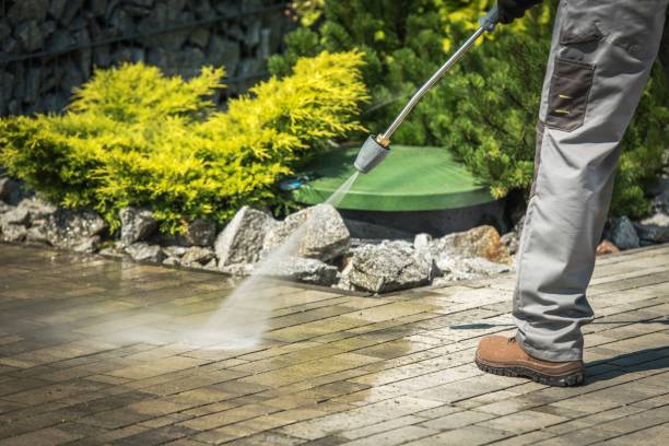 Best Patio and Deck Pressure Washing  in Rosewood Heights, IL