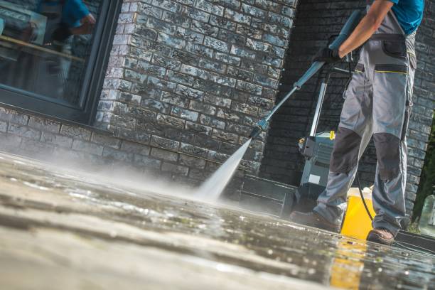 Best Animal Enclosure Cleaning  in Rosewood Heights, IL